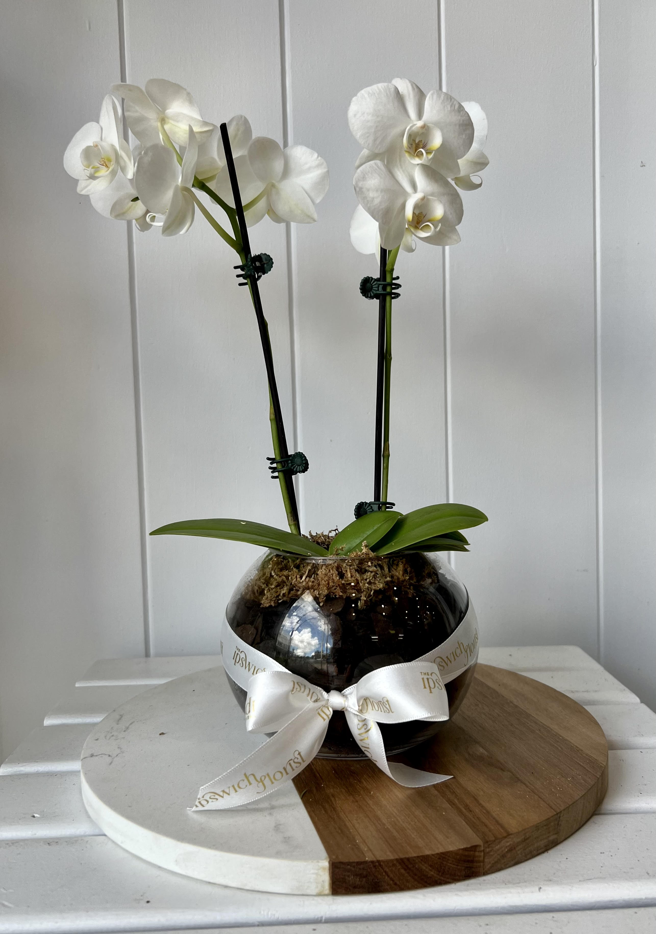 Plants Ipswich Florist