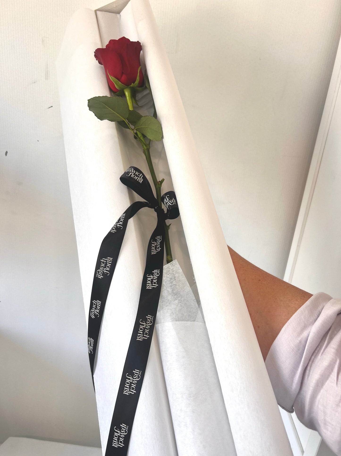 VALENTINE'S  DAY ROSES