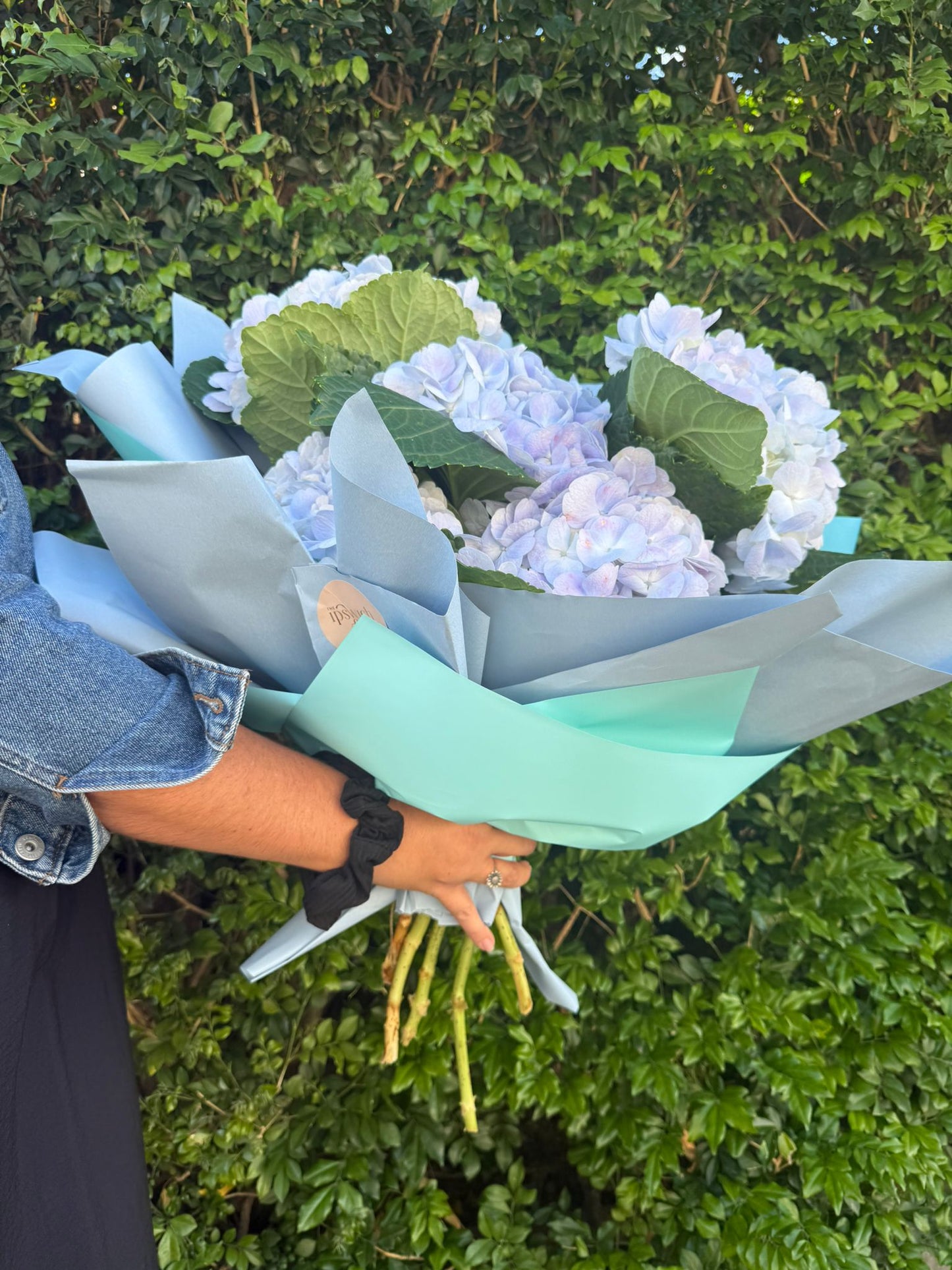 Hydrangea Bouquet