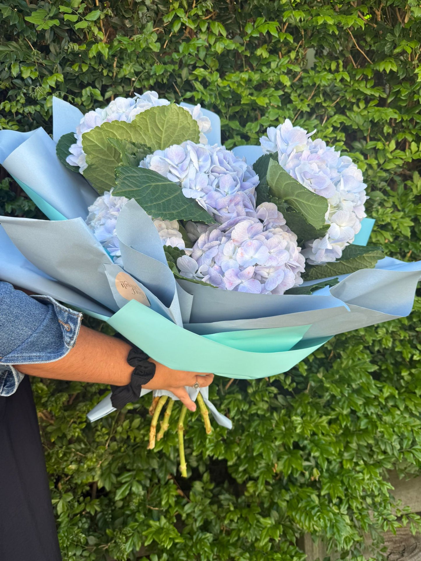 Hydrangea Bouquet