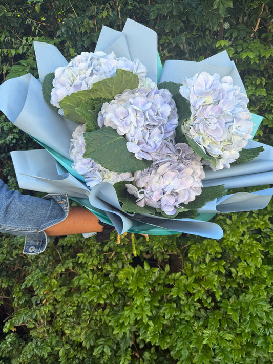 Hydrangea Bouquet