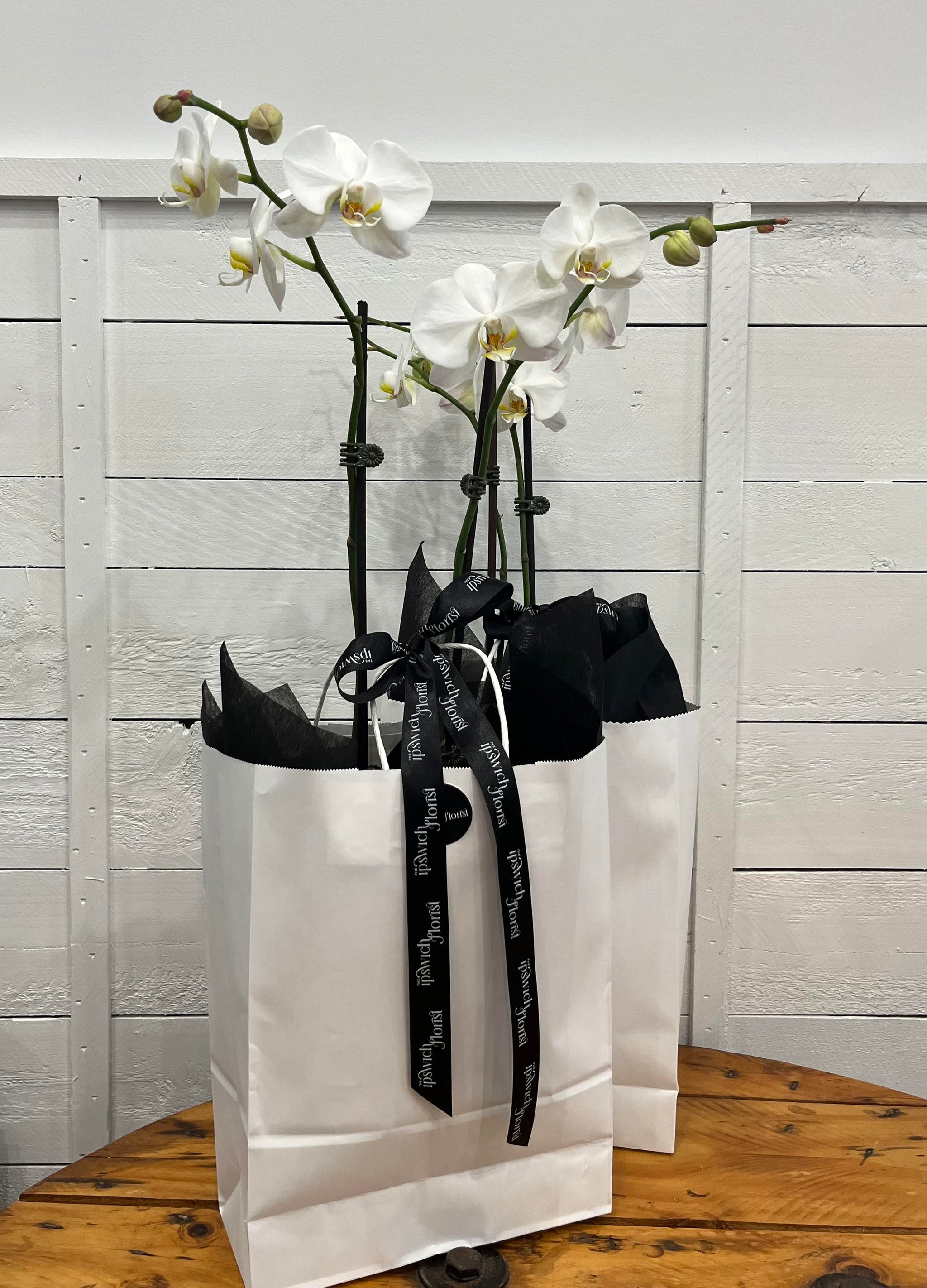 Plants Ipswich Florist